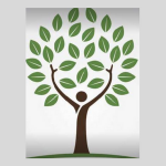 Grace Massage and Wellness Centers